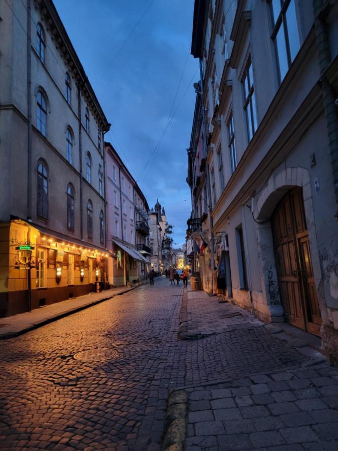 Warm & Cozy Apartment In The Heart Of Historical Lviv Dış mekan fotoğraf